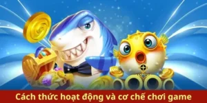 Bí Kíp Chơi Bắn Cá Royal Fishing Cado888 Trăm Trận Trăm Thắng Từ Cao Thủ