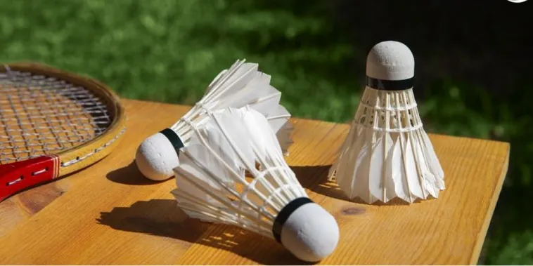 Chi Tiết Cách Chơi Cá Cược Cầu Lông Tại Cado888 Dành Cho Người Mới 2 Chi Tiết Cách Chơi Cá Cược Cầu Lông Tại Cado888 Dành Cho Người Mới