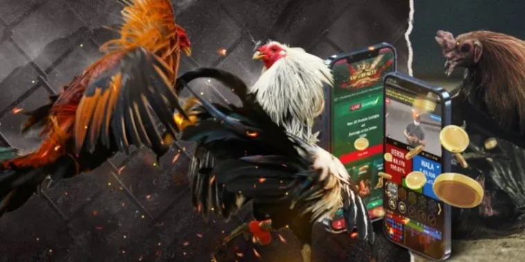 Giải Mã Cách Chơi Đá Gà GA28 Tại Cado888 Bách Phát Bách Trúng Cho Tân Binh 2 Giải Mã Cách Chơi Đá Gà GA28 Tại Cado888 Bách Phát Bách Trúng Cho Tân Binh