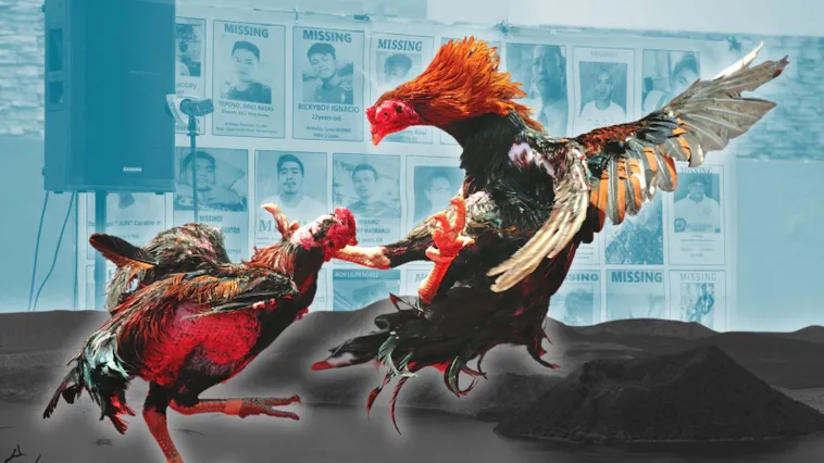 Hướng Dẫn Cách Chơi Đá Gà Sabong Tại Cado888 Từ A Đến Z Cho Kê Thủ 2 Hướng Dẫn Cách Chơi Đá Gà Sabong Tại Cado888 Từ A Đến Z Cho Kê Thủ