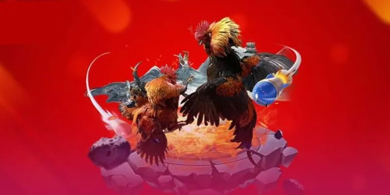 Khám Phá Đấu Trường Đá Gà Cado888 Bất Bại Trăm Trận Trăm Thắng Ngay Hôm Nay