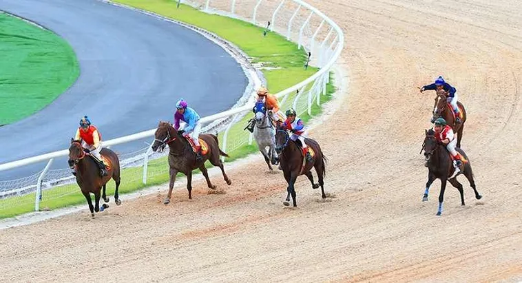 Bí Kíp Tìm Hiểu Cá Cược Đua Ngựa Cado888 Thắng Lớn Mỗi Ngày 1 Bí Kíp Tìm Hiểu Cá Cược Đua Ngựa Cado888 Thắng Lớn Mỗi Ngày